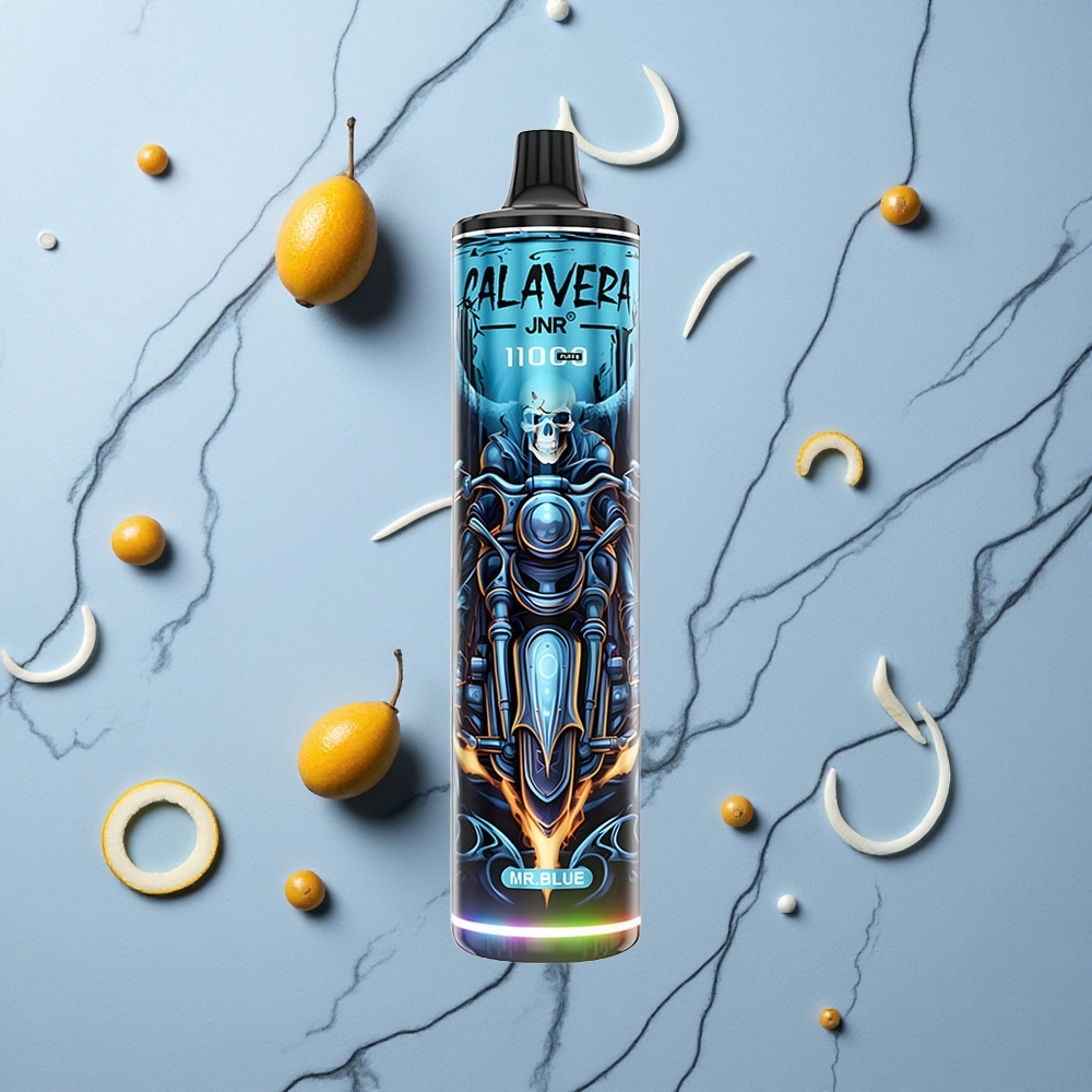 Blauwe JNR Calavera 11000 Puffs Wegwerp Vape met Type-C oplader en 21ml E-Liquid Capacity wholesale Netherlands