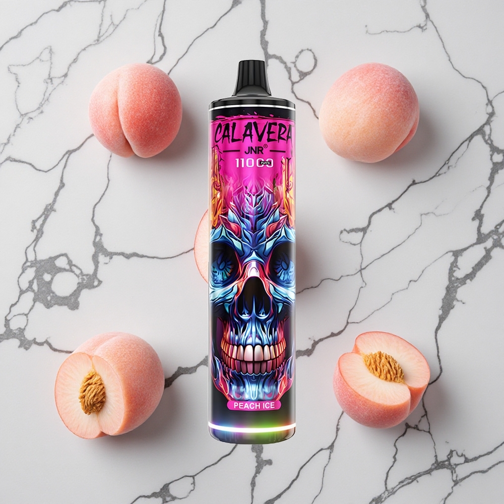 Perzijs IJs JNR Calavera 11000 Puffs Wegwerp Vape Type-C Oplaadpoort wholesale Netherlands