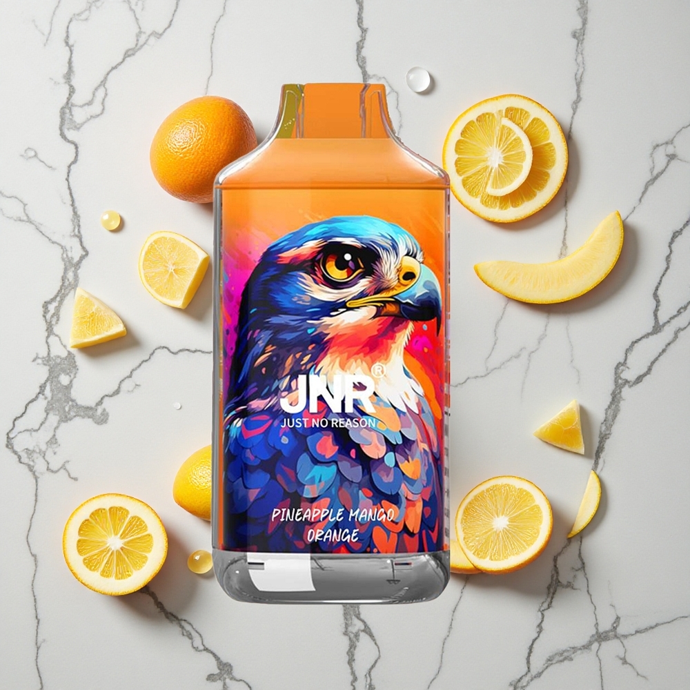 Ananas Mango Sinaasappel JNR Falcon 16000 Puffs Wegwerp Vape Dual Mesh Coil Smart LED Display wholesale Netherlands