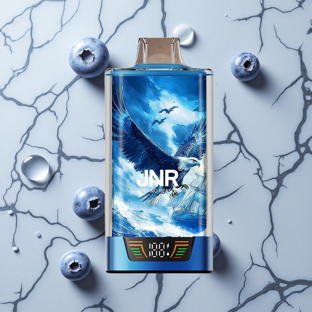 Blauwe Bes IJs JNR Falcon Pro 28000 Puffs 30ml Voorgevuld Dual Mesh Coil wholesale Netherlands