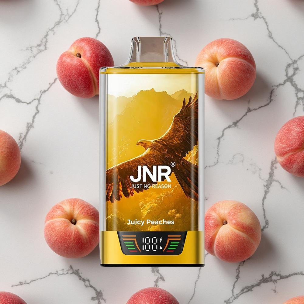 Juweelachtige Perziken JNR Falcon Pro 28000 Puffs 30ml Voorgevuld Dual Mesh Coil wholesale Netherlands