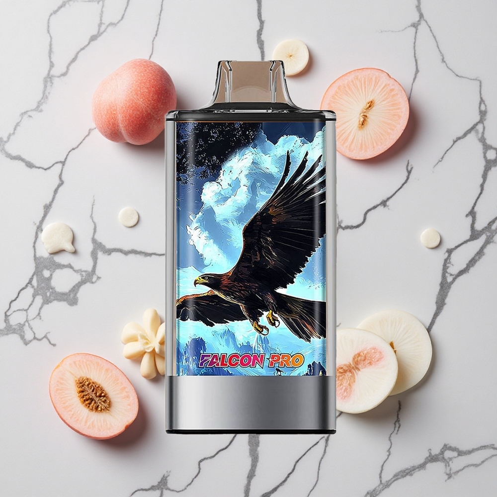 Witte Perzik Framboos JNR Falcon Pro 28000 Wegwerp Vape 28000 Trekken USB Type-C wholesale Netherlands