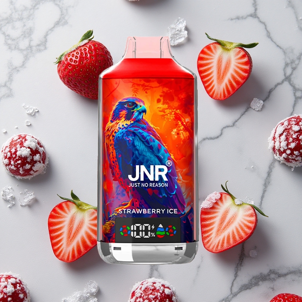 Aardbeienijs JNR Falcon X 18000 Puffs Dubbele Mesh Coil Type-C opladen wholesale Netherlands