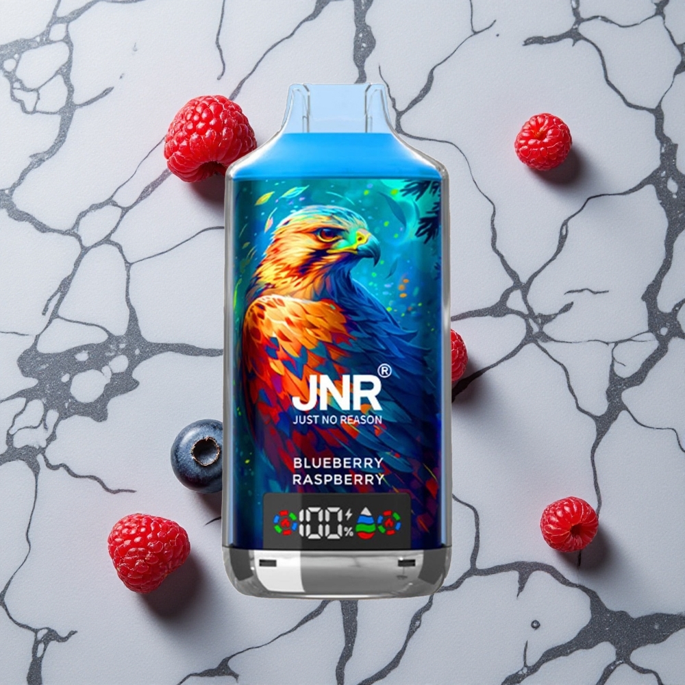 Blauwe Bes Framboos JNR Falcon X 18000 Puffs 24ml Dual Mesh Coil Type-C wholesale Netherlands