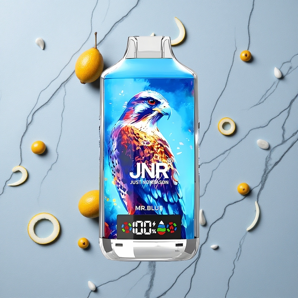 Blauwe JNR Falcon X 18000 Puffs Wegwerp Vape met Digitale Display & Dual Mesh Coil wholesale Netherlands
