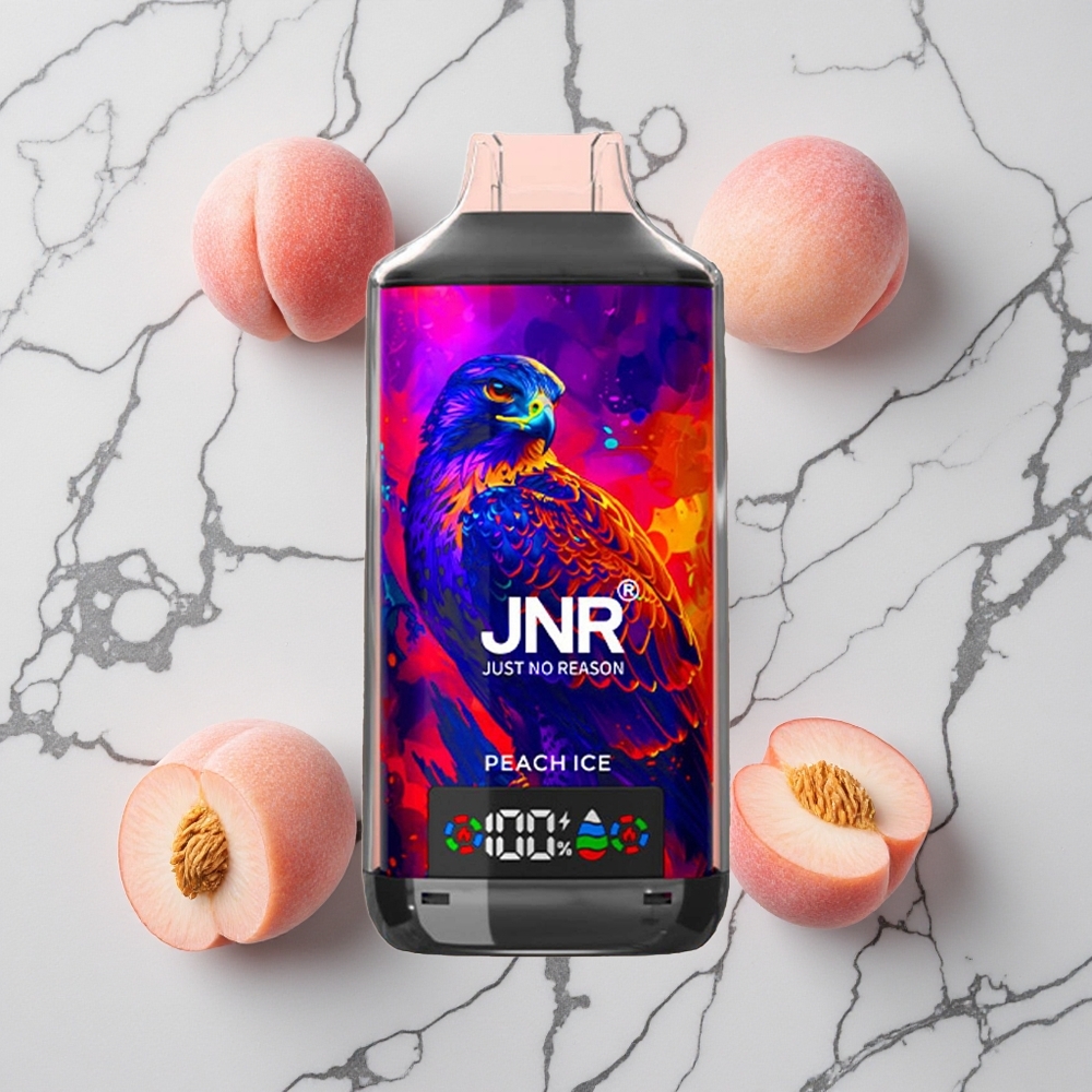 Peren IJs JNR Falcon X 18000 Puffs Dual Mesh Coil Type-C Oplaadbaar wholesale Netherlands