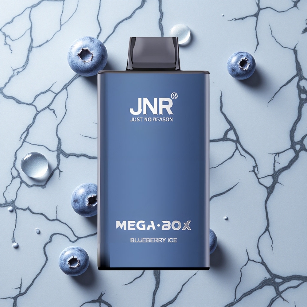 Blauwe Bes IJs JNR Mega Box 25000 Puffs Dual Mesh Coil wholesale Netherlands
