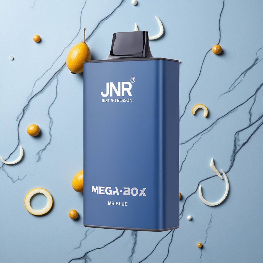 Blauwe JNR Mega Box 25000 Puffs Wegwerp Vape met Dual Mesh Coil & Dual Core wholesale Netherlands