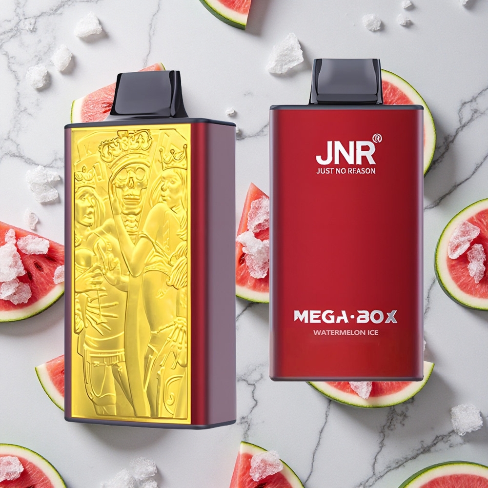 Watermeloen IJs JNR Mega Box 25000 Puffs Dual Mesh Coil wholesale Netherlands