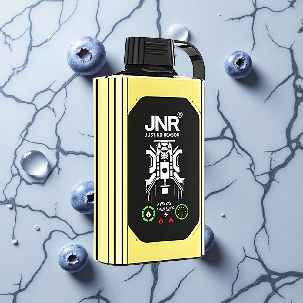 Blauwe Bes IJs JNR Shisha Hookah Box 20500 Puffs Wegwerp Vape HD Display Dual Mesh Coil wholesale Netherlands