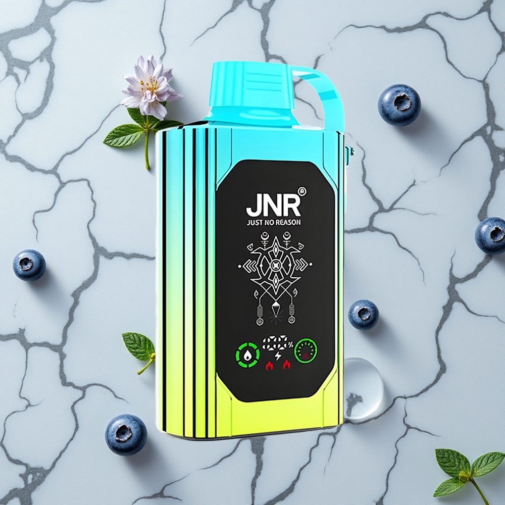 Blauwe Bes Munt JNR Shisha Hookah Box 20500 Puffs HD Display Dual Mesh Coil Type-C wholesale Netherlands