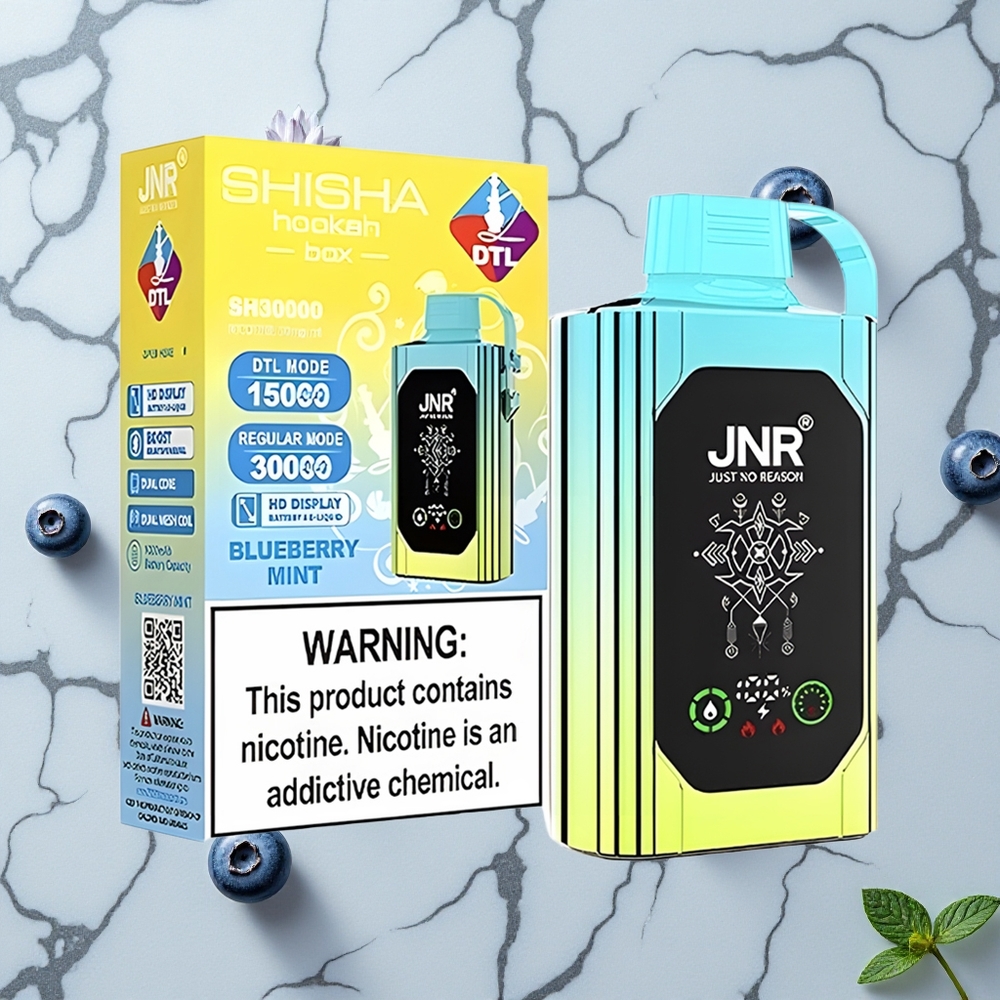 Blauwe Bes Munt JNR Shisha Hookah Box 20500 Puffs HD Display Dual Mesh Coil Type-C wholesale Netherlands