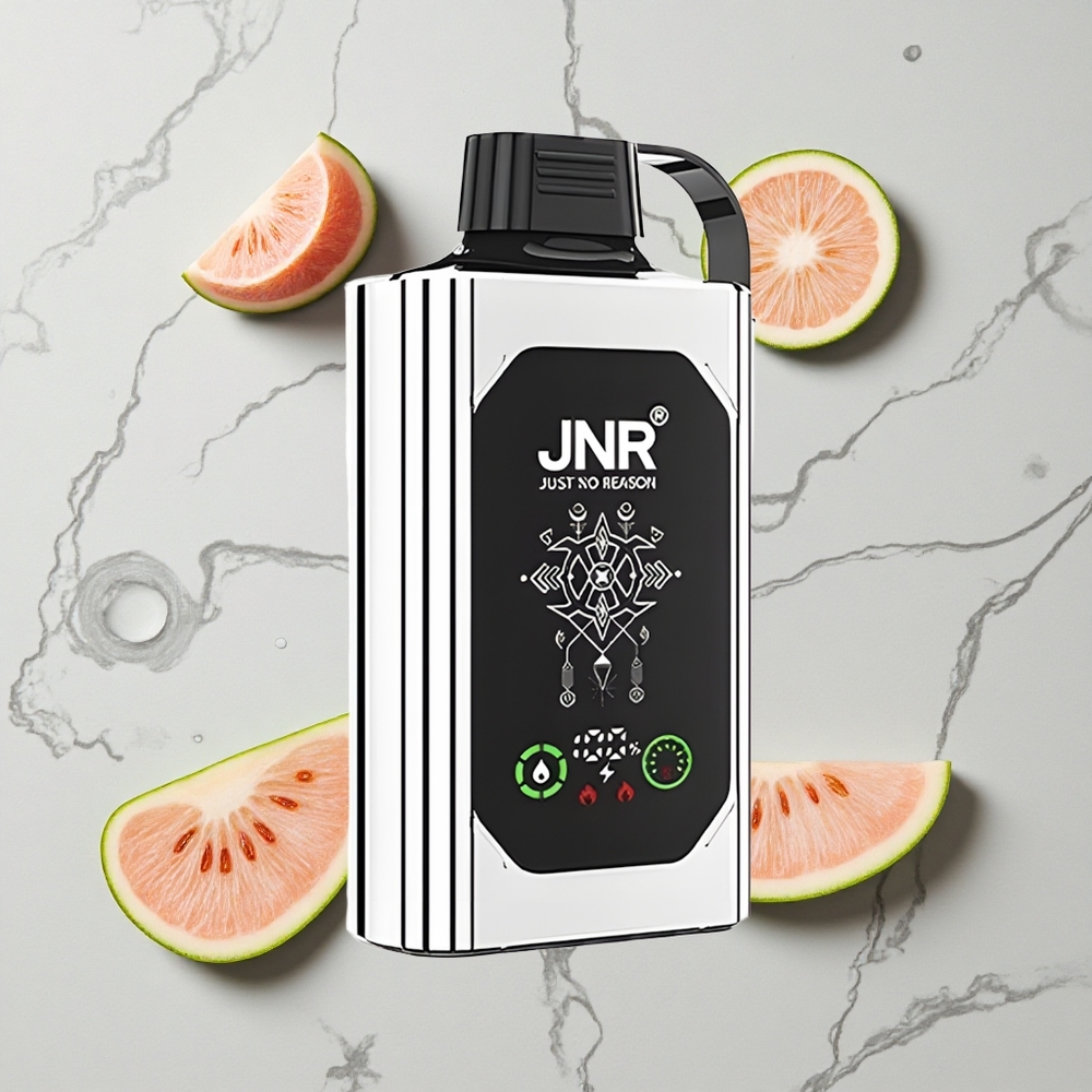 Dubbel Meloen Munt JNR Shisha Hookah Box 20500 Puffs HD Scherm Type-C Snel Opladen wholesale Netherlands
