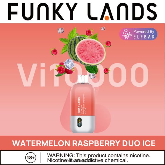 watermeloen framboos duo ijs